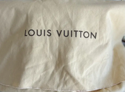 Louis Vuitton Red Burgundy Bag