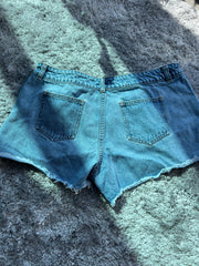 HOUSE OF EAVE Denim Shorts - XL